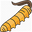 Cordyceps small category thumbnail image