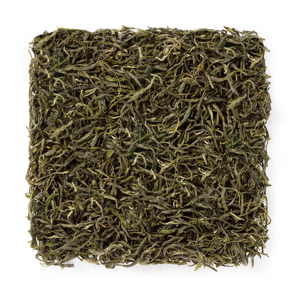 Xinyang Mao Jian Green Tea#1119