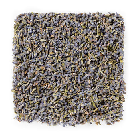 Lavender #1341