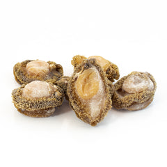 South Africa Dried Abalone #310 (15-20 pcs/Lb)