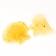 India Dried Fish Maw #281