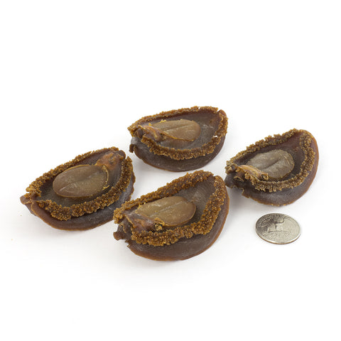 Japanese Iwate Uncommon Dried Abalone #669(16 oz)