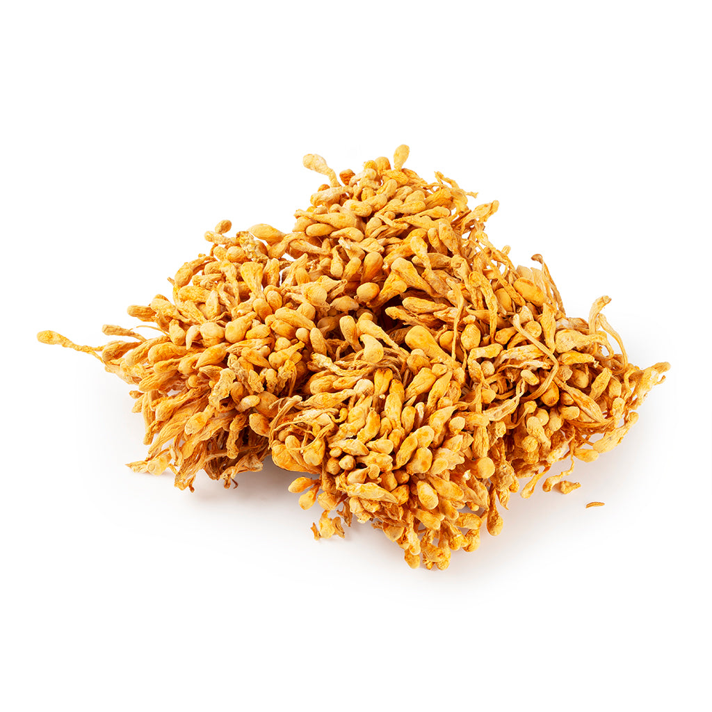 Cordyceps Mycelia / Chong Cao Hua 8oz