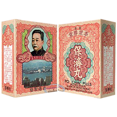 李眾勝堂 保濟丸 (10支/盒)