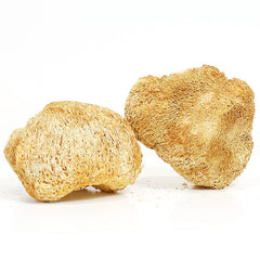 Hericium erinaceus / Lion's Mane Mushroom 4oz/8oz