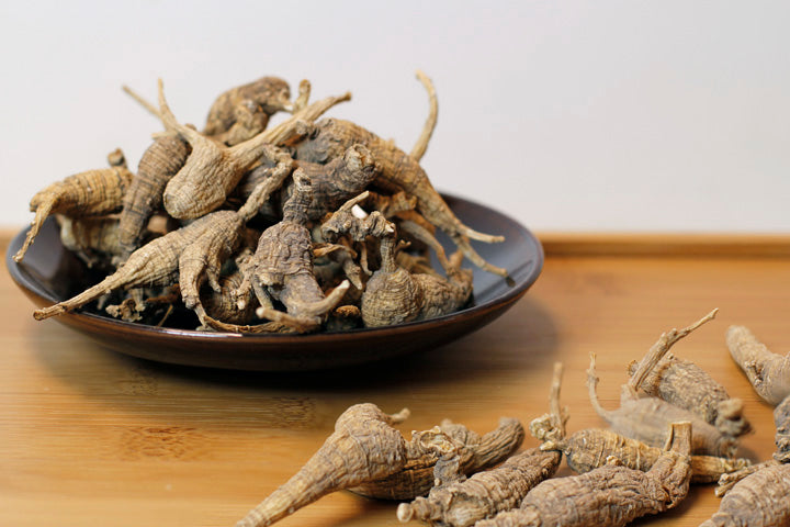 320000  American Wild Ginseng #832