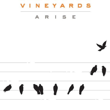 Blackbird Vineyard Arise Red Napa Valley 2016